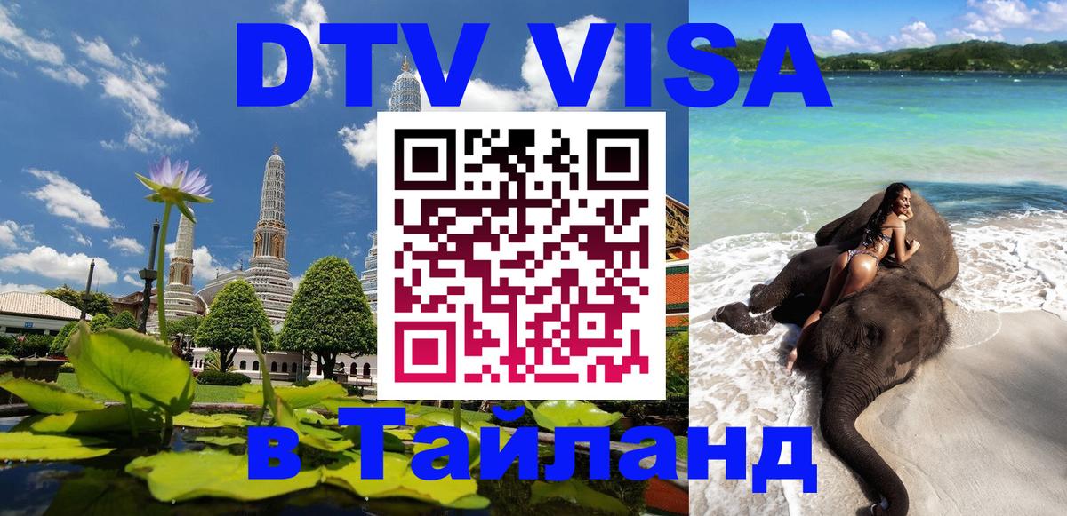 Оформление DTV визы под ключ: стоимость и тарифы, только загранпаспорт - Саратов  19.11.2025 